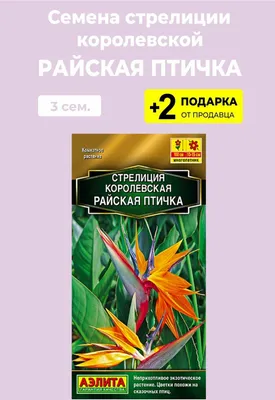 Семена цветов Инвент-плюс стрелиция королевская – купить в Алматы по цене  650 тенге – интернет-магазин Леруа Мерлен Казахстан