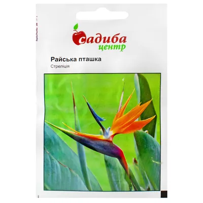 Семена от екзотичната Стрелиция (Strelizia reginae) | GardenShop.Pro