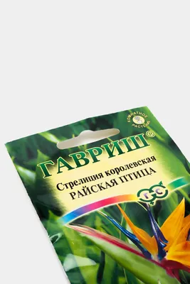 Стрелиция Райская птица, 3 шт., купить в интернет магазине Seedspost.ru