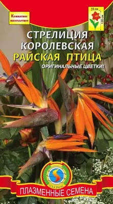 Стрелиция Райская птица (семена,цветы) купить по цене 249 ₽ в  интернет-магазине KazanExpress