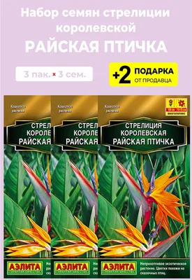 Strelitzia nicolai - СТРЕЛИЦИЯ Николайя - \"РАЙСКАЯ ПТИЦА\" БЕЛАЯ Семена 3 шт  (ID#1554653973), цена: 120 ₴, купить на Prom.ua