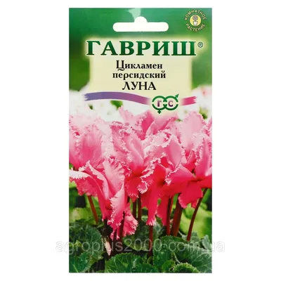 Семена Цикламен персидский Луна 3 сем. Гавриш (ID#1490163318), цена: 35 ₴,  купить на Prom.ua