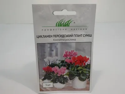 Семена цикламена Персидский гигант | ВетАптека - ЗооМагазин \"Лапочка\"