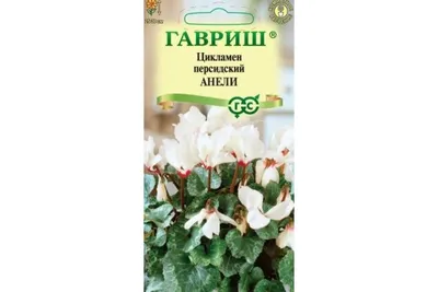 Семена ГАВРИШ Цикламен Анели персидский 3 шт. 002485 - выгодная цена,  отзывы, характеристики, фото - купить в Москве и РФ