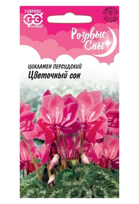 Семена цикламен Гавриш Цветочный сон 1026995956 10 уп. - купить в Москве,  цены на Мегамаркет