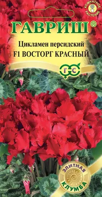 ✓ Семена Цикламен персидский Восторг красный F1, 3шт, Гавриш. Элитная  клумба по цене 700 руб. ◈ Большой выбор ◈ Купить по всей России ✓  Интернет-магазин Гавриш ☎ 8-495-902-77-18