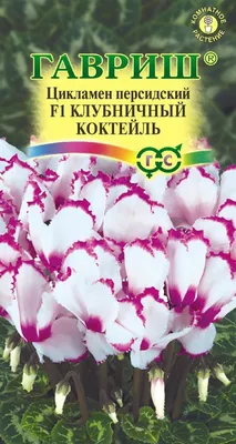 ✓ Семена Цикламен персидский Клубничный коктейль F1, 3шт, Гавриш. Цветочная  коллекция по цене 460 руб. ◈ Большой выбор ◈ Купить по всей России ✓  Интернет-магазин Гавриш ☎ 8-495-902-77-18
