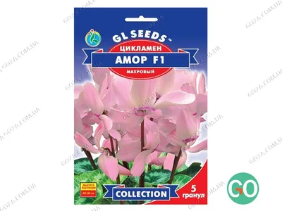 Семена цикламена Амор F1 5шт (ID#1413664417), цена: 29 ₴, купить на Prom.ua