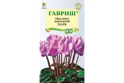 Семена ГАВРИШ Цикламен Марк персидский 3 шт. 001187 - выгодная цена,  отзывы, характеристики, фото - купить в Москве и РФ