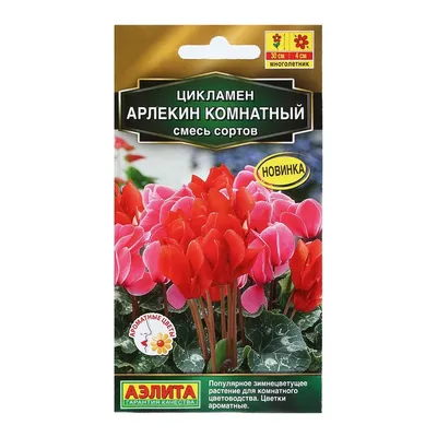 Семена Цветов Цикламен \"Арлекин комнатный\", смесь сортов, 3 шт 9359851  Агрофирма АЭЛИТА купить по цене от 66руб. | Трикотаж Плюс | Екатеринбург,  Москва