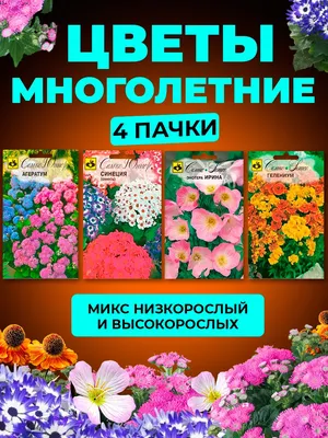 Семена цветов многолетних для сада Семко 162298079 купить за 317 ₽ в  интернет-магазине Wildberries