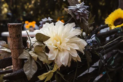Стильный букет, осенние цветы, …» — создано в Шедевруме