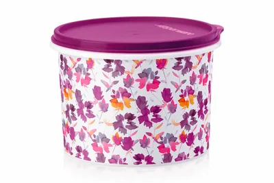 Сентябринки фиолетовые осенние цветы …» — создано в Шедевруме