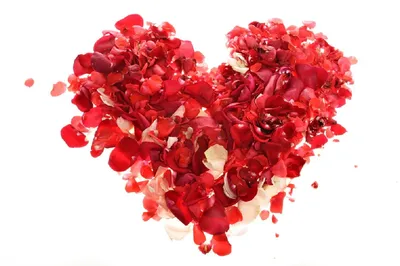 Сердце Из Лепестков Роз — стоковые фотографии и другие картинки Роза -  Роза, Символ сердца, Лист - iStock