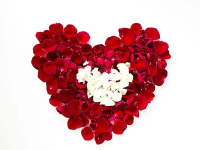 Красивое Сердце Из Красных Лепестков Роз, Изолированных На Белом  Фотография, картинки, изображения и сток-фотография без роялти. Image  27083113