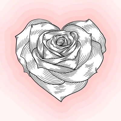 футаж сердце из лепестков роз на хромакее №2 - YouTube