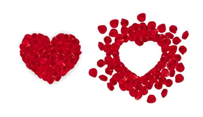Красное сердце из лепестков роз - декор ко дню Валенина, свадьбы №578112 -  купить в Украине на Crafta.ua