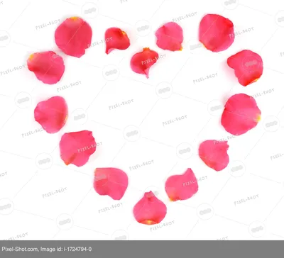 Лепестки роз в форме сердца изображение_Фото номер 501123614_JPG Формат  изображения_ru.lovepik.com