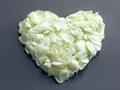 Сердце из лепестков роз (45 фото) »