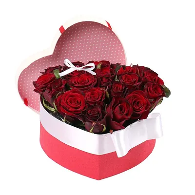 Купить сердце из 35 белых и красных роз с доставкой по Минску