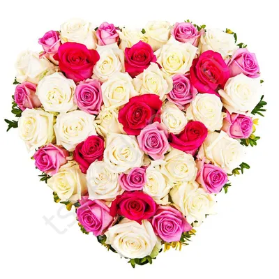 201 Роза Сердце - красные и белые розы в корзине | купить недорого |  доставка по Москве и области | Roza4u.ru