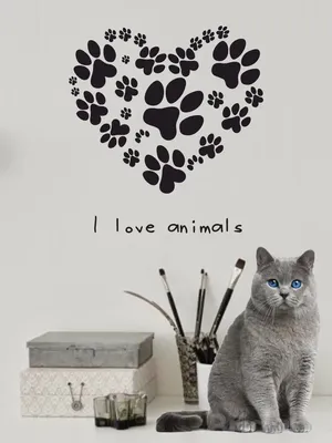 Очаровательные Сердца кошек - фоновые изображения для вашего сайта