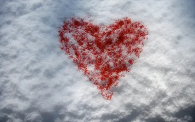 Фото Сердце на снегу: прикоснись к холоду страсти