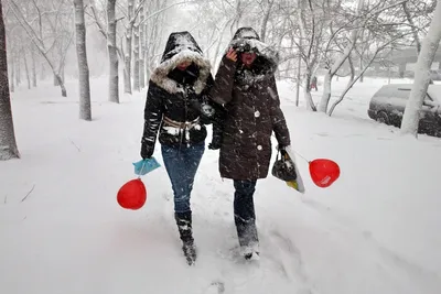 Сердце на снегу: замороженные мечты