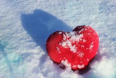 Фотография Сердце на снегу: взгляд любви