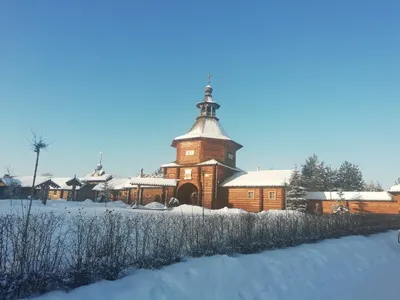 Фотосессия зимой. ФотограФ Ольга Игоревна | Сергиев Посад