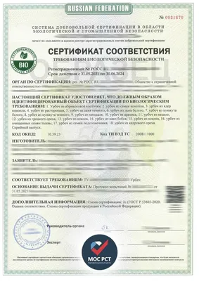 Подарочный сертификат интернет-магазина Watchshop.kz - купить по лучшей  цене | WATCHSHOP.KZ