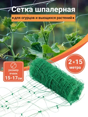 Сетка шпалерная для огурцов и цветов 10м купить почтой в Одессе, Киеве,  Украине | Agro-Market