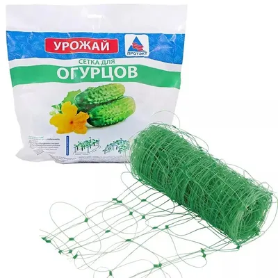 огурец и сетка для садовых растений в саду на открытом грунте. выращивание  натуральных органических огурцов и других Стоковое Фото - изображение  насчитывающей культивировано, культивирование: 241929186