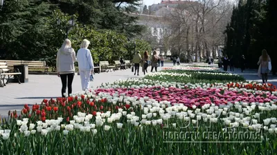 Севастополь. Весна. Приморский бульвар - Лента новостей Крыма