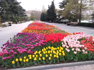 Севастополь. Весна :: Марина Дегтярева – Социальная сеть ФотоКто