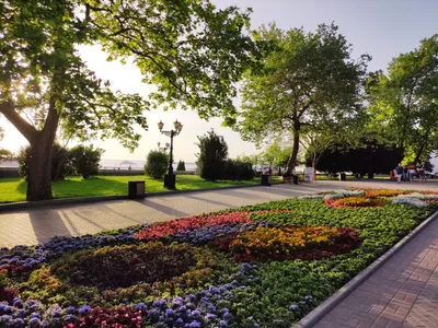 Какими цветами встретит весну Севастополь | ForPost