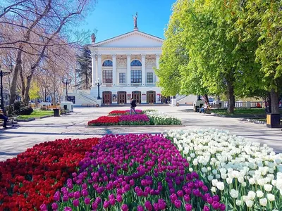 Севастополь, весна, миндаль