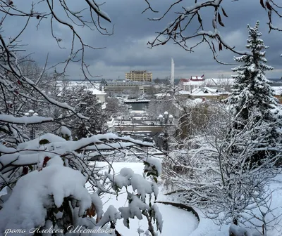 Мороз в Севастополе | Харьковские хроники