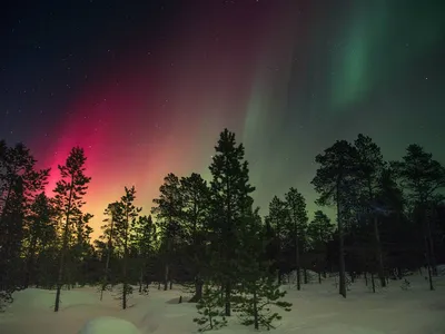Северное сияние фотограф снял под Новосибирском — посмотрите волшебные фото  и видео, Новосибирск, 14 марта 2022 года, красивые фото - 14 марта 2022 -  НГС