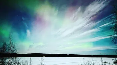 Житель Новосибирска сфотографировал северное сияние - 5 ноября 2023 - НГС