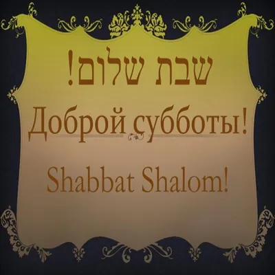 Yossi Amram on X: \"Shabbat Shalom and happy weekend everybody. ❤️ 💐  https://t.co/9i1j73CyVm\" / X