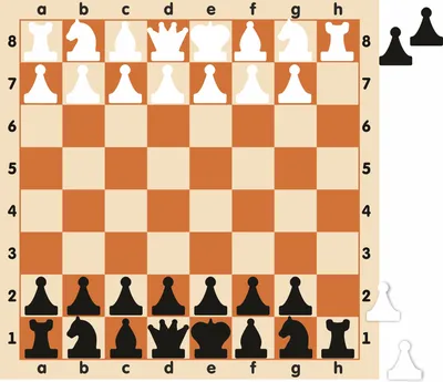 Шахматная доска обиходная, 29 х 29 х 3.5 см - РусЭкспресс