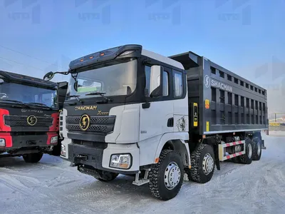 Самосвал Shacman SX331863366 8х4 550 л.с. White Shacman (Shaanxi), цена в  Кемерово от компании Центр технического оборудования