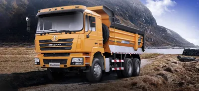 Самосвал SHACMAN SX3316DT366 8x4 F3000 купить в Москве