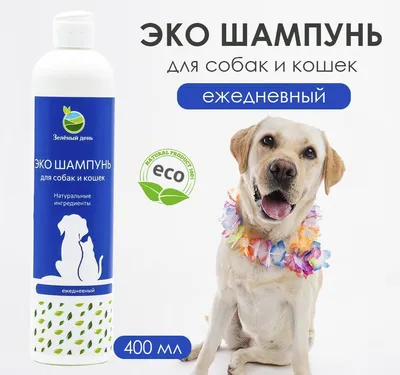 Отбеливающий шампунь для собак и кошек - купить с доставкой по выгодным  ценам в интернет-магазине OZON (763559542)