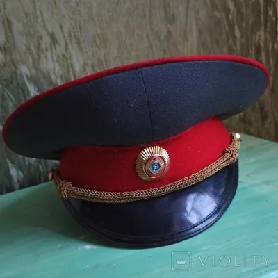 Анастасия Волошина