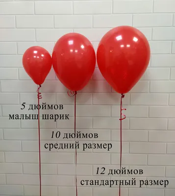 Купить гелиевые шары без рисунка «Ассорти (шампанское 2.0)» с доставкой по  Екатеринбургу - интернет-магазин «Funburg.ru»