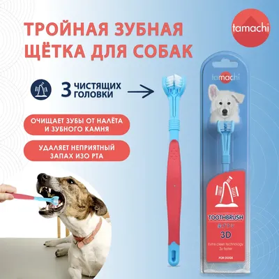 Щетка для собак и кошек, силиконовая расческа для ухода и ухода за кошками,  чистящие аксессуары для коротких и длинных собак | AliExpress