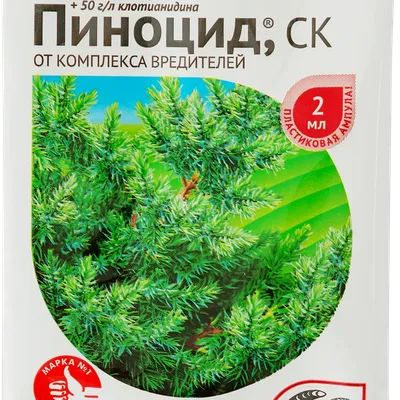 Можжевельник Виргинский (Спираль)