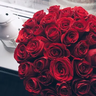 Нежные розы🌹🌹 | Розы, Винтажные цветы, Розовые розы